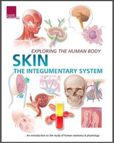 Exploring the Human Body: Skin